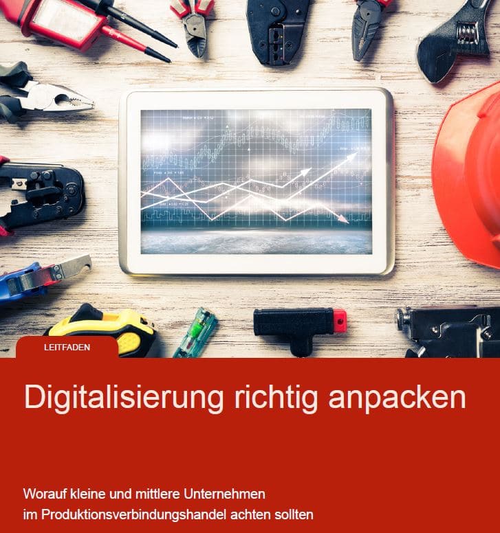 Titelseite „Digitalisierung richtig anpacken“